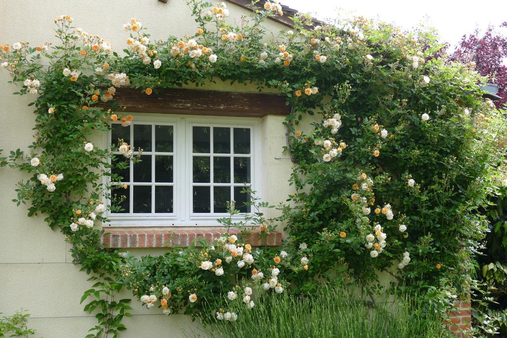 Le Clos Des Perraudieres Cour-Cheverny Exterior foto
